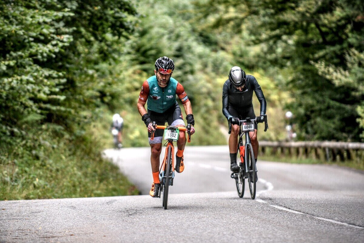 Quebrantahuesos y Trepariscos