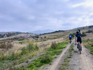 JV Acción Colnago C68 plana