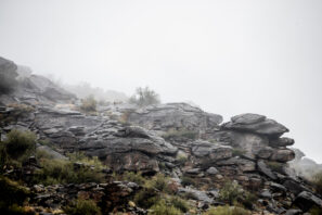 Revisión de Pivot Switchblade 2024