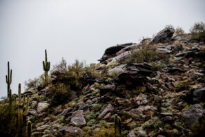 Revisión de Pivot Switchblade 2024